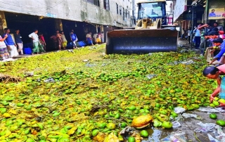 ১৫ই মে সরকার নির্ধারিত আম পাড়ার নির্ধারিত সময় অতিবাহিত হয়েছে 5