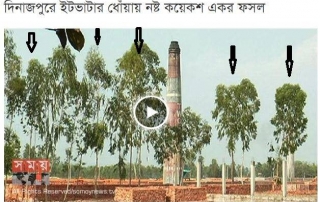 পশ্চিমাপন্থী মিডিয়া খুব পরিবেশবাদী, সে ইটভাটাকে দেখে, কিন্তু বিষাক্ত ইউক্যালিপটাসকে দেখে না 3