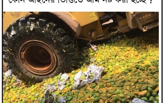 যারা ভাবছেন ইথোফেন ও কার্বাইড মেশানো আম বিষাক্ত, তারা ভিডিওটি পুরোটা দেখবেন 6