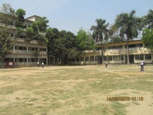 BZS1