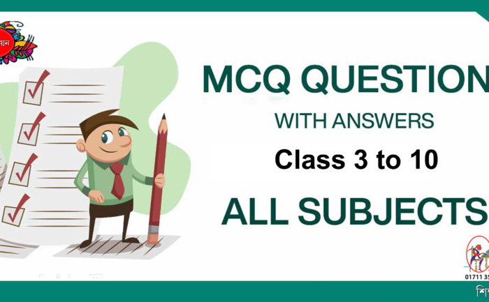 Your Blog 35 MCQ
