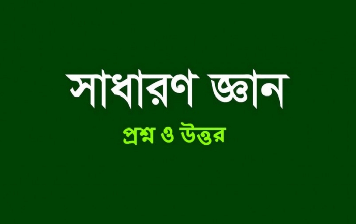 Your Blog 38 সাধারণ-জ্ঞান