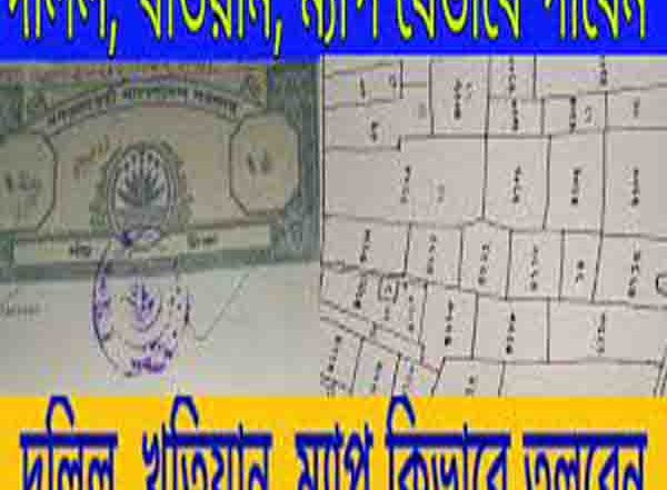 Your Blog 36 জমি-জমার