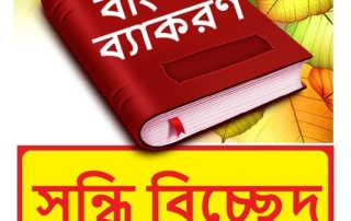সন্ধি বিচ্ছেদ