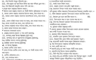 চতুর্থ শ্রেণির সর্বশেষ পড়ালেখা 4