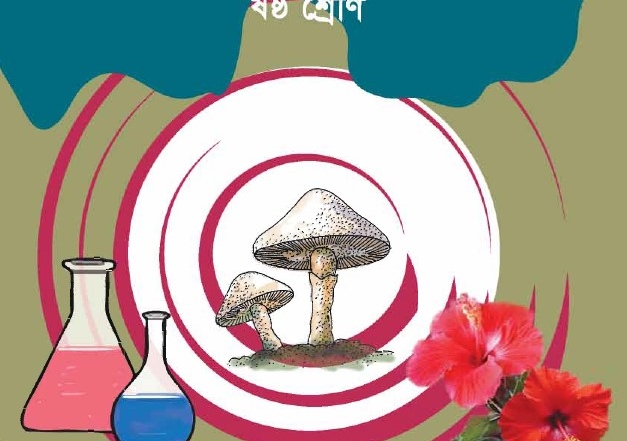 Your Blog 36 ষষ্ঠ শ্রেণি