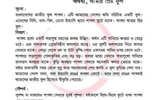 পঞ্চম শ্রেণির বৃত্তি পরীক্ষায় আসতে পারে এমন কিছু প্রশ্ন। 2