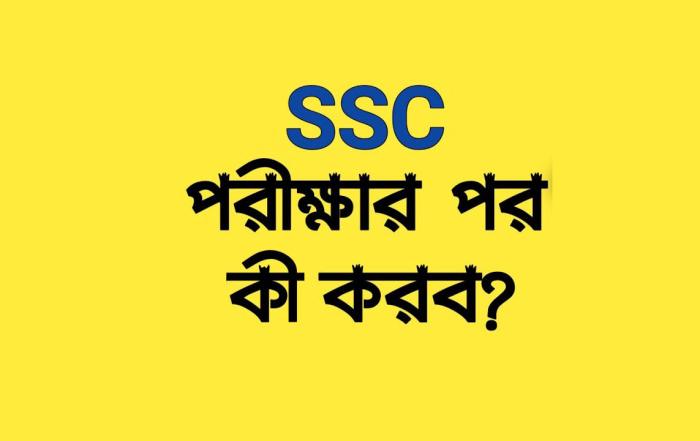 Your Blog 37 SSC