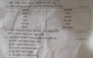 প্রশ্নোত্তরগুলো শুধু তৃতীয়, চতুর্থ ও পঞ্চম শ্রেণির শিক্ষার্থীদের জন্য 6